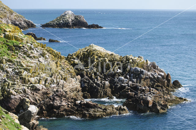 Saltee Islands