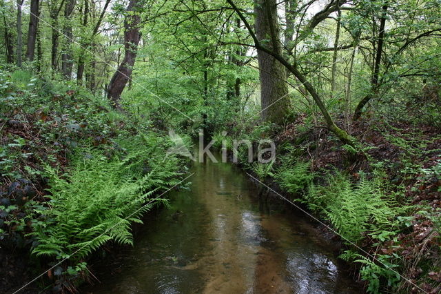 Koppelsprengen