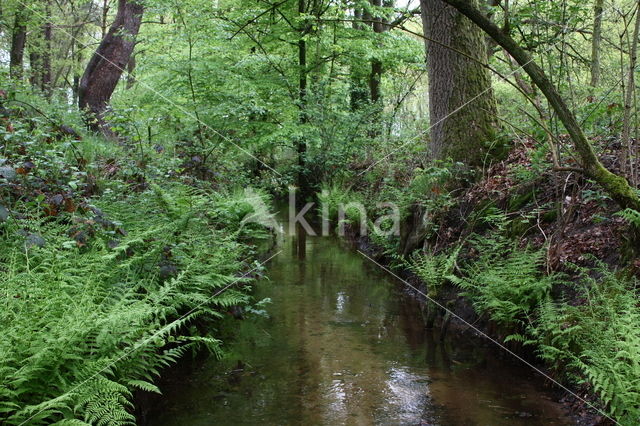 Koppelsprengen