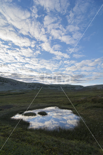 Natuurreservaat Stadjan Nipfjället