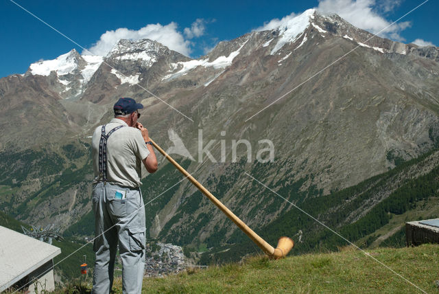 Pennine Alps