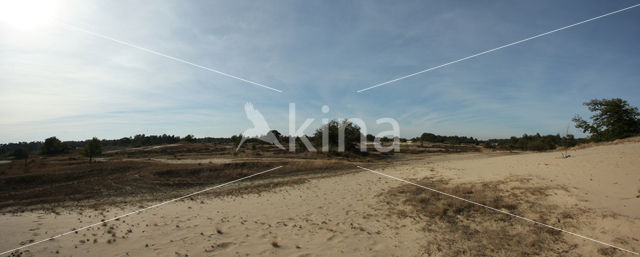 National Park Loonse en Drunense Duinen