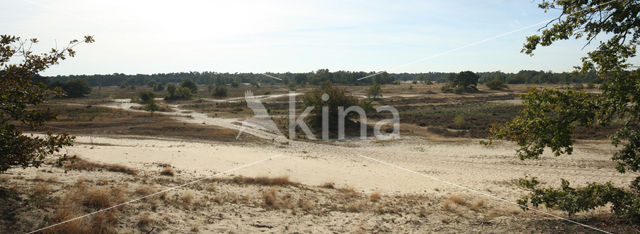 National Park Loonse en Drunense Duinen