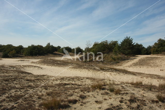 Nationaal Park Loonse en Drunense Duinen