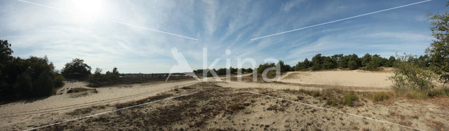 Nationaal Park Loonse en Drunense Duinen