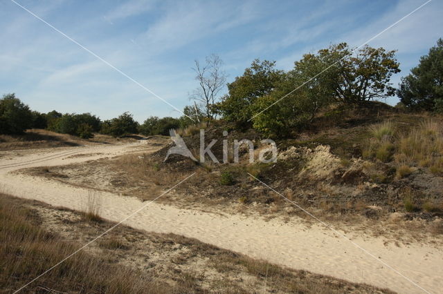 Nationaal Park Loonse en Drunense Duinen