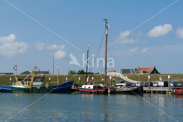 Texel