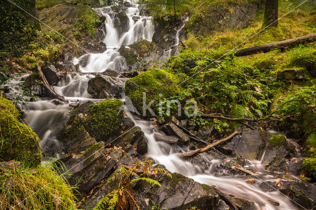 Tom Gill Waterval