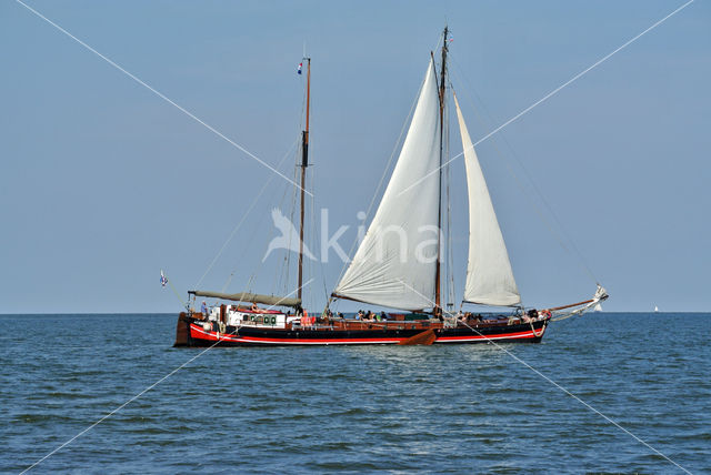 Waddensea