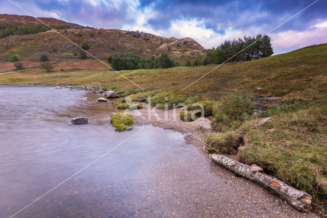 Blea Tarn