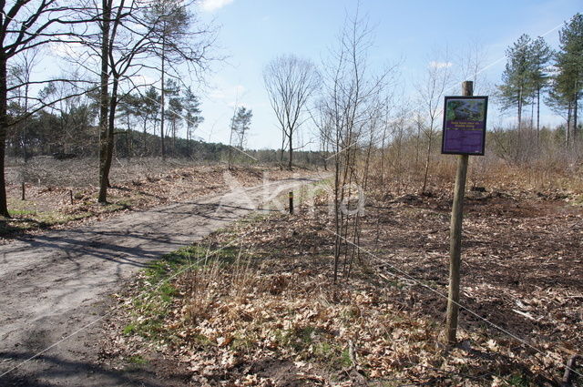 Cartierheide