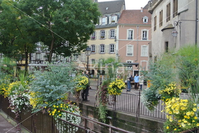 Colmar