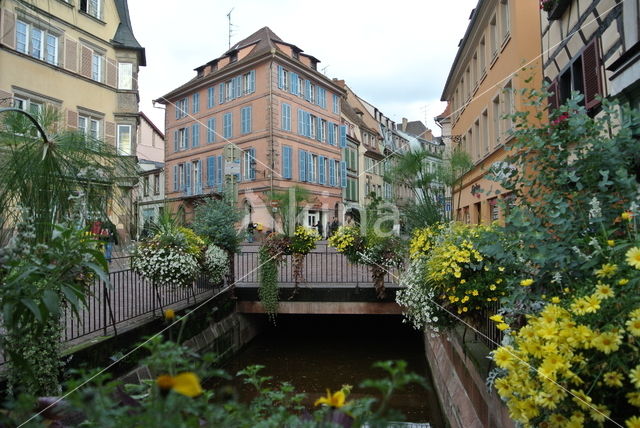 Colmar