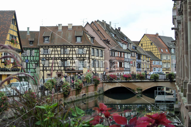 Colmar