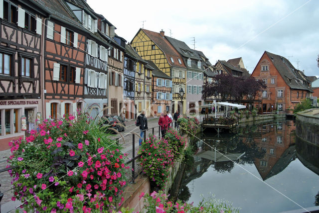 Colmar