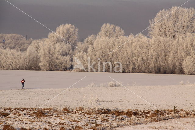 Duursche waarden