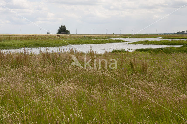 Eempolder