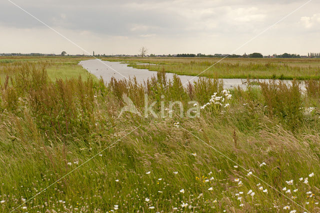 Eempolder