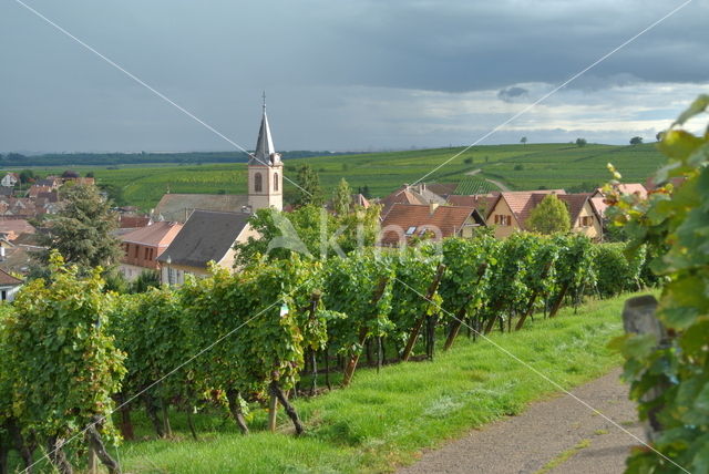 Alsace