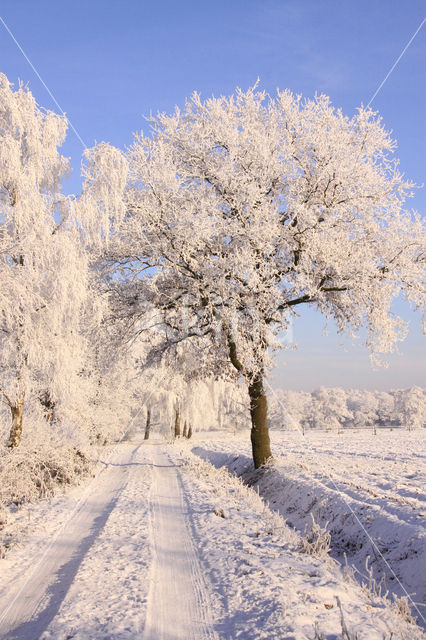 Gelderland