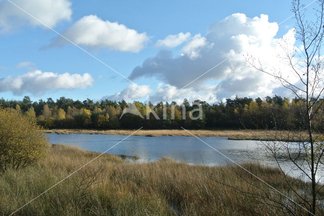 Kootwijkerveen