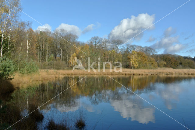 Kootwijkerveen