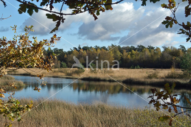 Kootwijkerveen