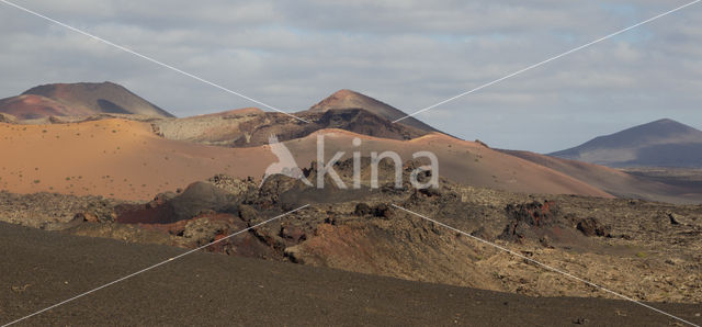 Lanzarote