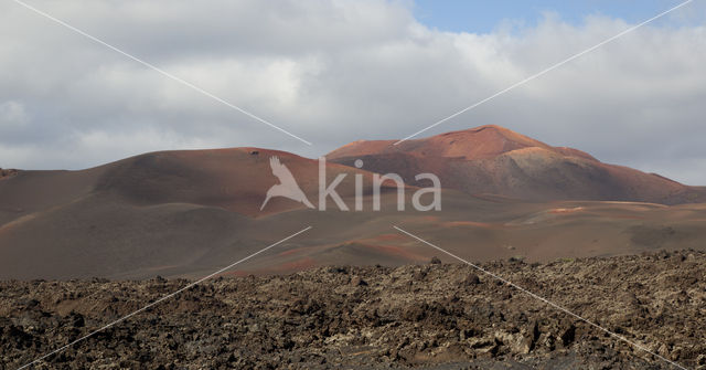 Lanzarote