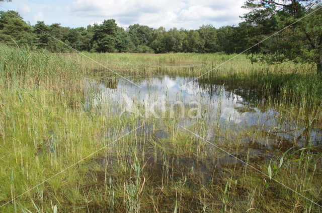 Leemputten Staverden