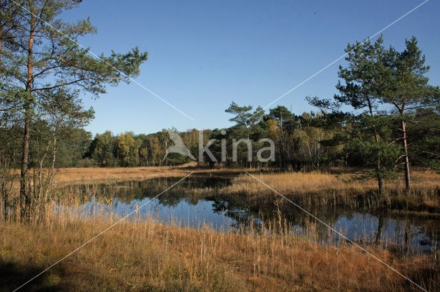 Leemputten Staverden