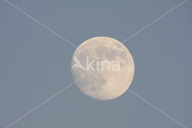 moonset