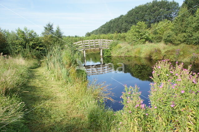 National Park De Alde Feanen