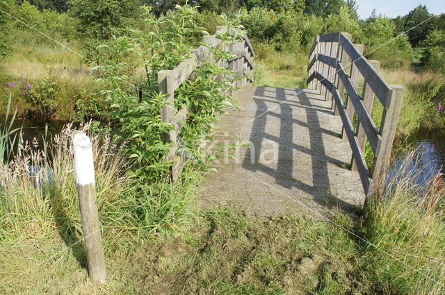 Nationaal Park De Alde Feanen