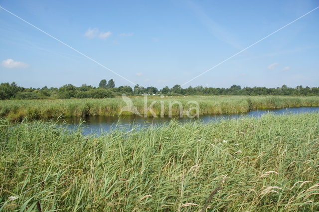 Nationaal Park De Alde Feanen