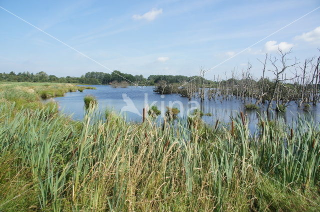 Nationaal Park De Alde Feanen