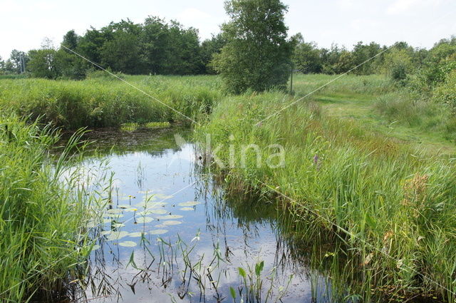 Nationaal Park De Alde Feanen