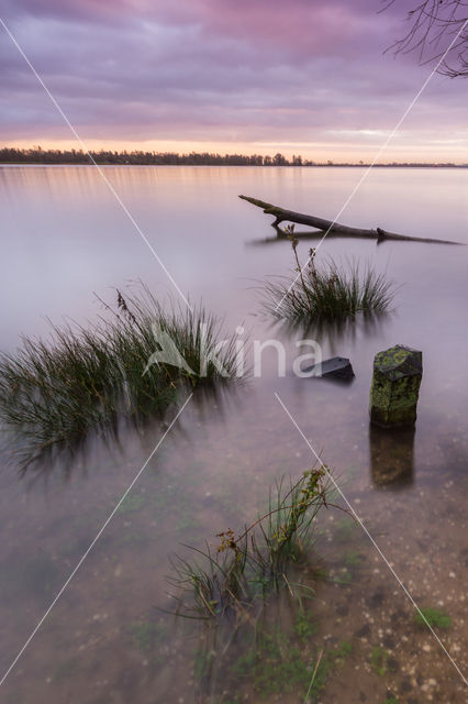 National Park de Biesbosch