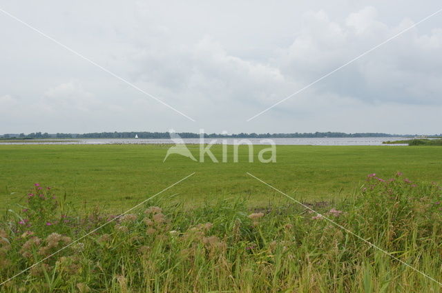 National Park Lauwersmeer