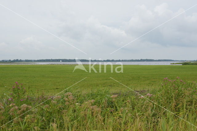 Nationaal Park Lauwersmeer