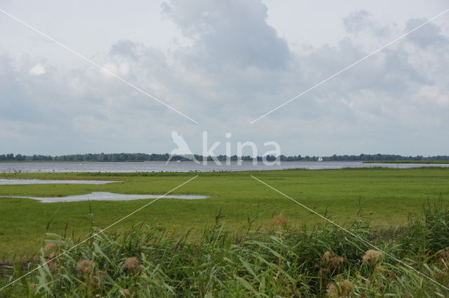 Nationaal Park Lauwersmeer