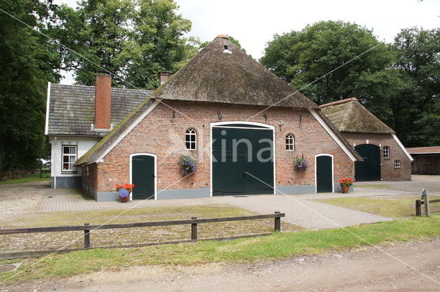 Nationaal Park Sallandse Heuvelrug