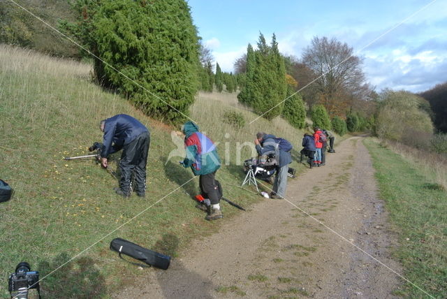 Nature reserve Lampertstal