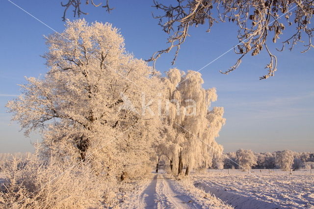 Ooijpolder