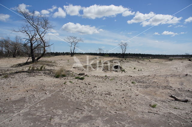 Strabrechtse Heide