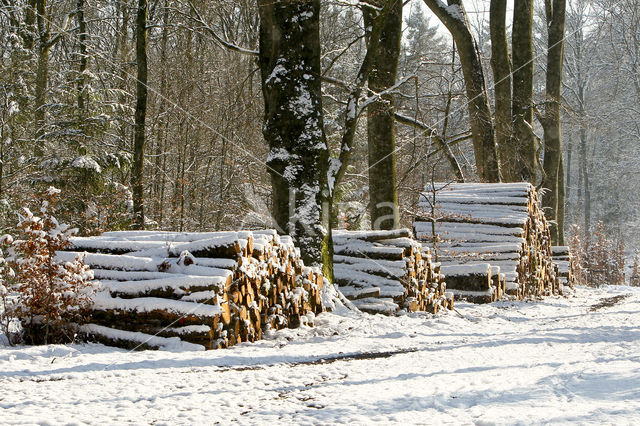 Veluwe