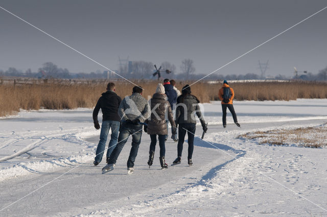 Wormer- en Jisperveld