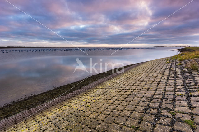 Nationaal Park Oosterschelde