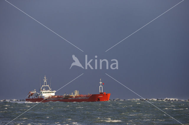 Maasvlakte