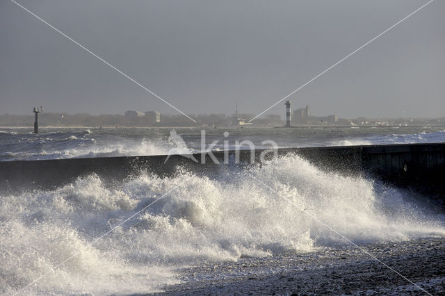 Maasvlakte